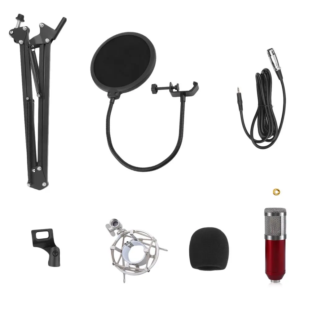 Professional Condenser Sound Recording Microphone With Mount Holder For Karaoke Radio Braodcasting Singing 
Professional Condenser Sound Recording Microphone With Mount Holder For Karaoke Radio Braodcasting Singing