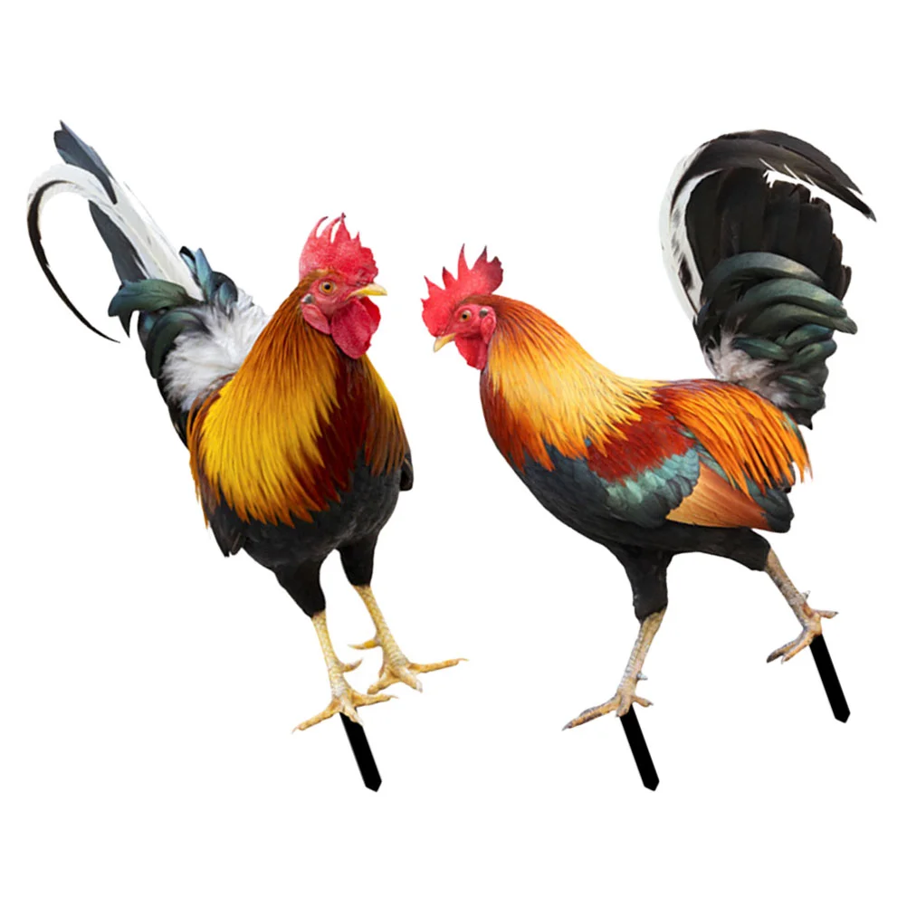 2 Pcs Decor Garden Garden Outdoor Chicken Statueationssation Sculpture Stakes Figures Adornment Garden Outdoor Chicken
2 Pcs Decor Garden Garden Outdoor Chicken Statueationssation Sculpture Stakes Figures Adornment Garden Outdoor Chicken