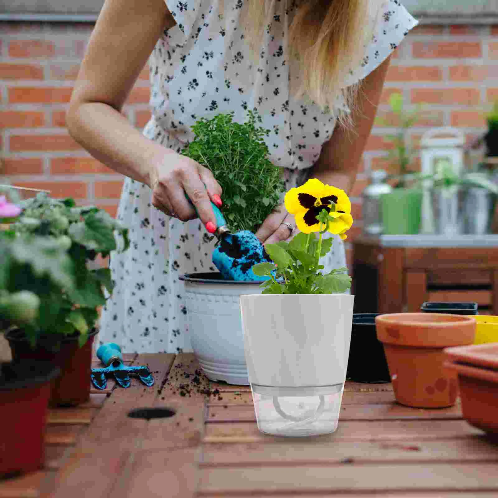 Self Watering Planters Indoor Plants Plastic African Violet Pot Automatic Water Absorbing Plant Pots All House Plants Succulents
Self Watering Planters Indoor Plants Plastic African Violet Pot Automatic Water Absorbing Plant Pots All House Plants Succulents