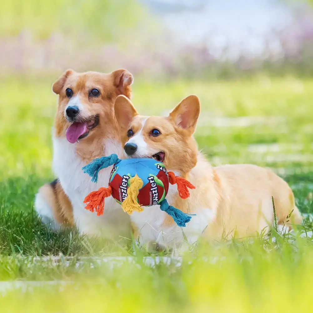 Durable Pet Toy for Chewing Durable Chew Toys for Dogs Loneliness Relief Teeth Grinding Emotional Release for Breeds for Dogs
Durable Pet Toy for Chewing Durable Chew Toys for Dogs Loneliness Relief Teeth Grinding Emotional Release for Breeds for Dogs