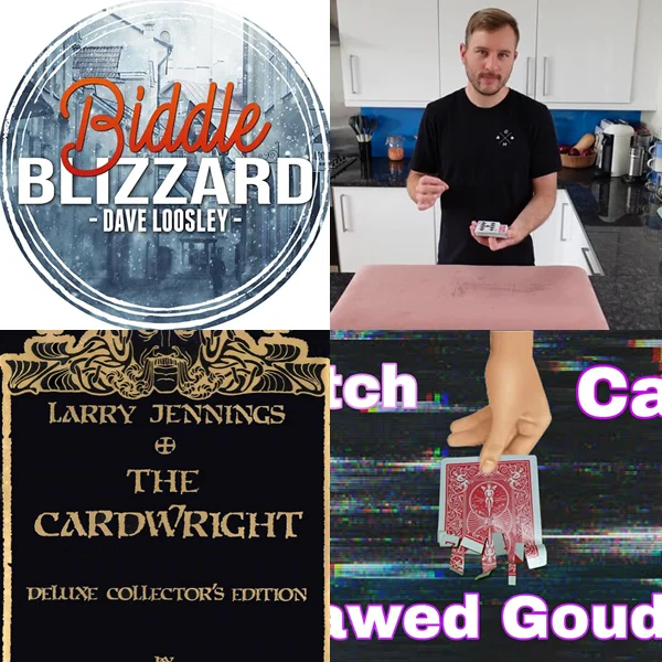 Biddle Blizzard by Dave Loosley,Canopy Production by Ollie Mealing,Cardwright by Larry Jennings,Glitch Card by Jawed Goudih
Biddle Blizzard by Dave Loosley,Canopy Production by Ollie Mealing,Cardwright by Larry Jennings,Glitch Card by Jawed Goudih