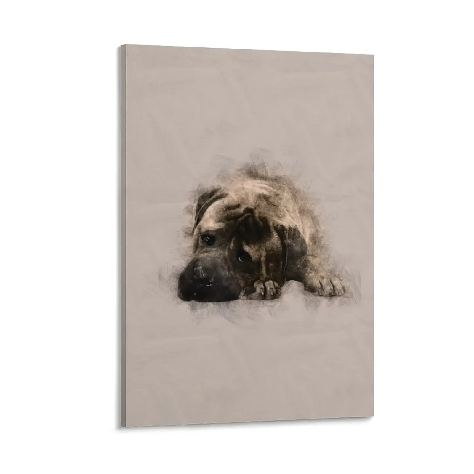 Bullmastiff Puppy Sketch Canvas Painting aesthetic room painting posters decoration aesthetic
Bullmastiff Puppy Sketch Canvas Painting aesthetic room painting posters decoration aesthetic