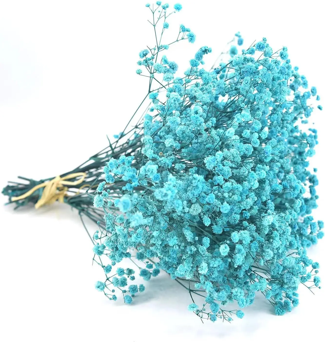 Light Blue Baby's Breath Dried Flowers for Vase Arrangements, Home Decor, Parties, Weddings, DIY Crafts,outdoor decorwall decor
Light Blue Baby's Breath Dried Flowers for Vase Arrangements, Home Decor, Parties, Weddings, DIY Crafts,outdoor decorwall decor