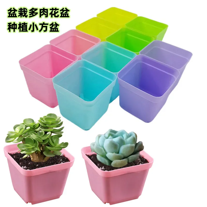 Gardening Small Square Pot Growing Succulent Pot Growing Super Small Square Plant Mini Plastic Pot
Gardening Small Square Pot Growing Succulent Pot Growing Super Small Square Plant Mini Plastic Pot