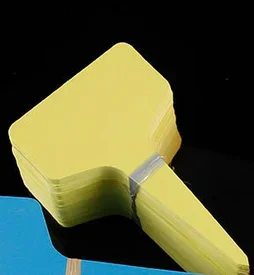 Ярлыки для сада, ярлыки для сортировки растений, ярлык, билет, пластиковая флейта, 10/50/100 шт., белые
Ярлыки для сада, ярлыки для сортировки растений, ярлык, билет, пластиковая флейта, 10/50/100 шт., белые