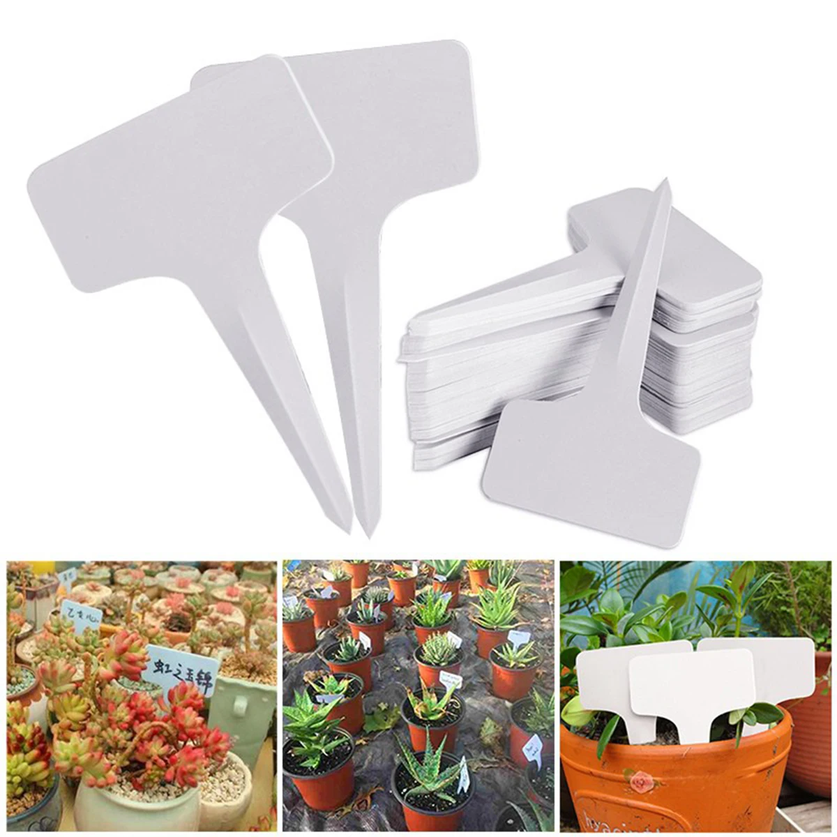 100PCS Garden Labels T-Type Plant Label Sign Tag Writing Plate Board For Nursery Pots Plant Waterproof Garden Sorting Mark Label
100PCS Garden Labels T-Type Plant Label Sign Tag Writing Plate Board For Nursery Pots Plant Waterproof Garden Sorting Mark Label