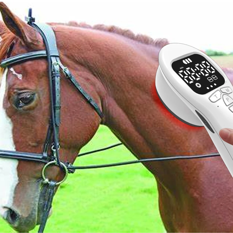 Portable LLLT 650nm 808nm Diode Cold LASER THERAPY BODY PAIN RELIEF, SPORTS INJURIES BURNS
Portable LLLT 650nm 808nm Diode Cold LASER THERAPY BODY PAIN RELIEF, SPORTS INJURIES BURNS