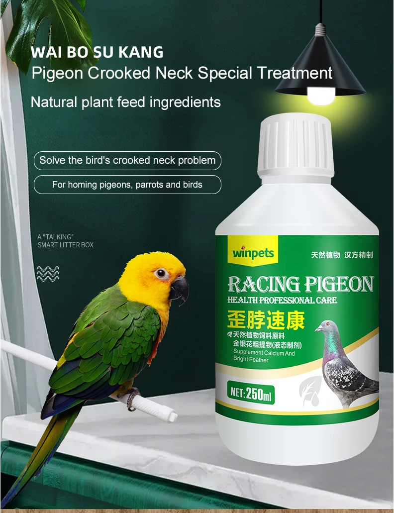 Parrot bird tilted head tilted neck medicine shakes head Newcastle disease salmonella water green stool for pigeons
Parrot bird tilted head tilted neck medicine shakes head Newcastle disease salmonella water green stool for pigeons