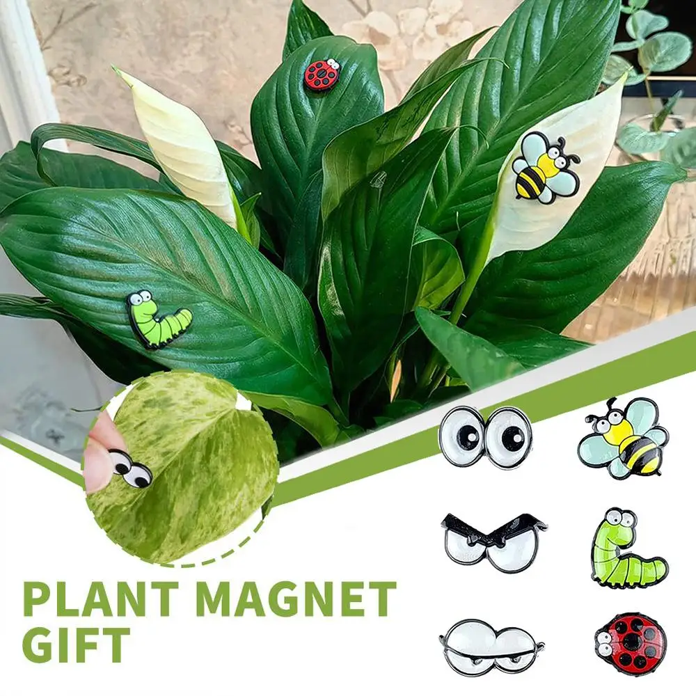 Cute Plant Leaf Magnet Eyes Potted Plant Decoration Accessories Unique Plant Safety Indoor Jewelry Pin Gift G9P8
Cute Plant Leaf Magnet Eyes Potted Plant Decoration Accessories Unique Plant Safety Indoor Jewelry Pin Gift G9P8