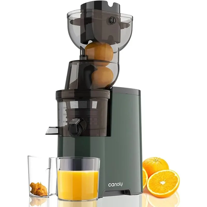 

Masticating Juicer Machines, 250W 3.5-inch (88mm) Slow Cold Press Juicer with Large Feed Chute for Vegetables and Fruits