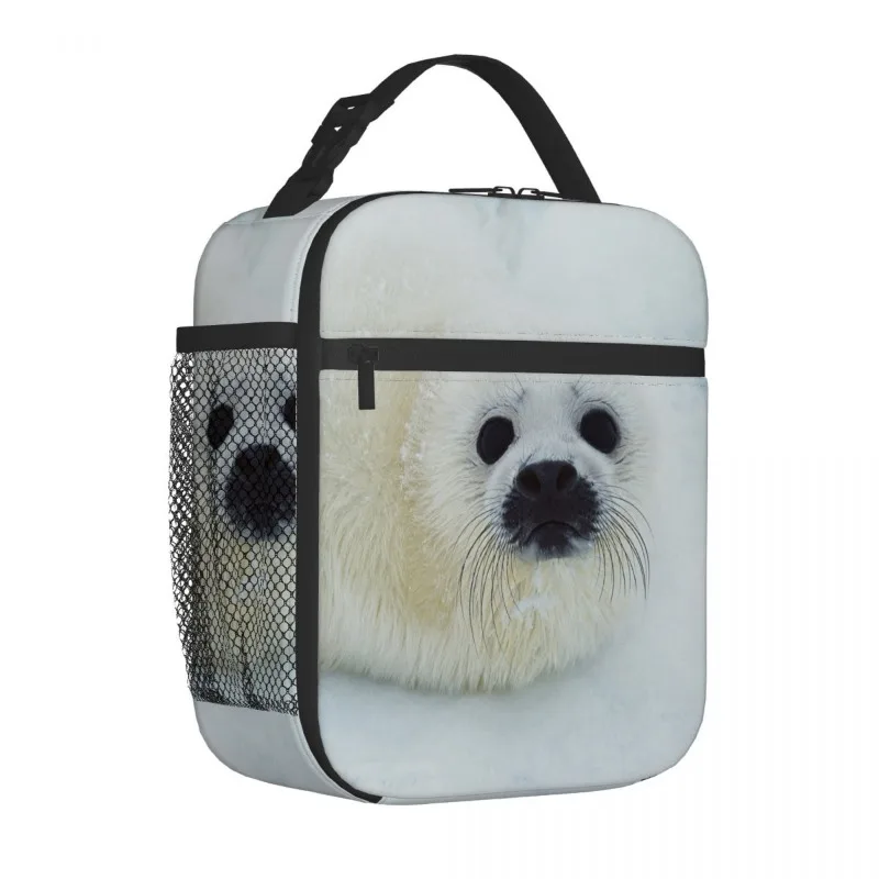 seal animal Portable Aluminum Foil Thickened Insulated Lunch Bag Insulated Lunch Waterproof Insulated Lunch Tote Bag
seal animal Portable Aluminum Foil Thickened Insulated Lunch Bag Insulated Lunch Waterproof Insulated Lunch Tote Bag