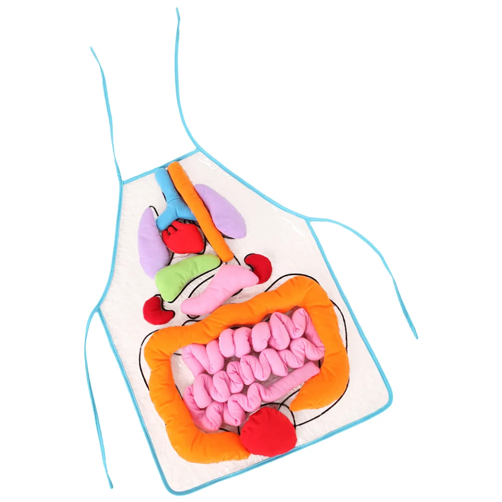 Human Apron Cognitive Toy Body Organs Teaching Equipment 3D Childrens Children’s Children’s Toys
Human Apron Cognitive Toy Body Organs Teaching Equipment 3D Childrens Children’s Children’s Toys