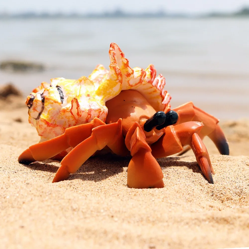 

New Children's Simulation Solid Marine Plastic Seabed World Animal Model Hermit Crab Marine Crab Toys Handmade Decorations Gifts