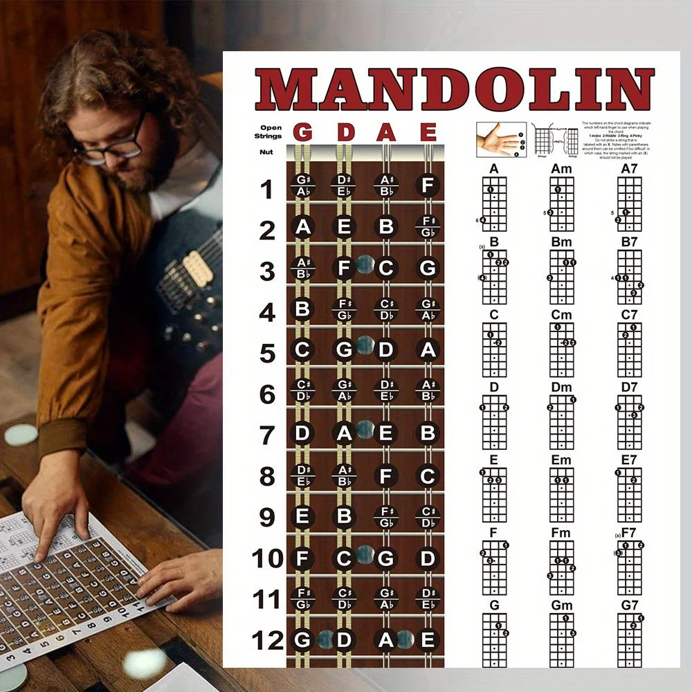 Mandolin комплексное Справочное руководство по легким диаграммам аккордов, для тренировок начинающих, обеспечивает идеальную помощь в обучении
Mandolin комплексное Справочное руководство по легким диаграммам аккордов, для тренировок начинающих, обеспечивает идеальную помощь в обучении