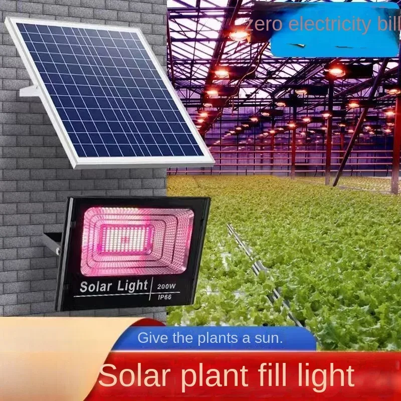 Plant growth lamp succulent solar led plant fill light flower vegetable imitation sunlight outdoor full spectrum led grow light
Plant growth lamp succulent solar led plant fill light flower vegetable imitation sunlight outdoor full spectrum led grow light