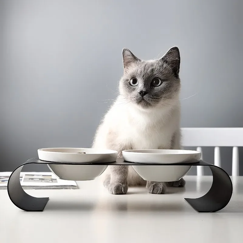 Dog Tall Iron Protection Frame Pet Spine Food Bowl New Supplies Double Set Ceramic Cat
Dog Tall Iron Protection Frame Pet Spine Food Bowl New Supplies Double Set Ceramic Cat