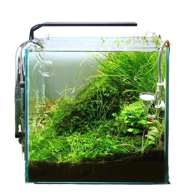 Chihiros C Series Aquanrium Full Spectrum Light Desktop Mini Tank Led Aquarium Lamp Water Grass Exquisite Compact
Chihiros C Series Aquanrium Full Spectrum Light Desktop Mini Tank Led Aquarium Lamp Water Grass Exquisite Compact