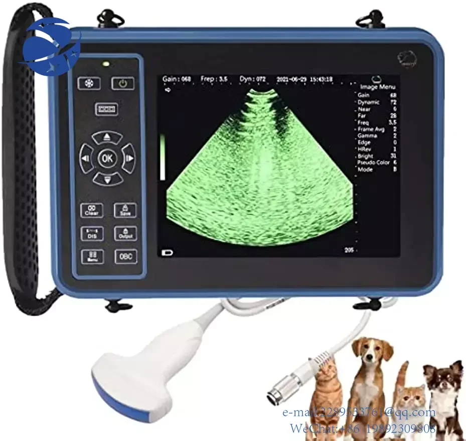 

YYHC 3.5Mhz Veterinary B-Ultrasound Mechanical Sector Probe 8 Color Panels 256FPS Video Recording with Volume Heart Rate Measure