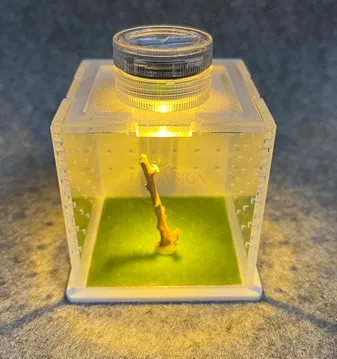 Crawler Jumping Spider Breeding Box Acrylic Non catching Spider Mantis Grasshopper Insect Mini Box
Crawler Jumping Spider Breeding Box Acrylic Non catching Spider Mantis Grasshopper Insect Mini Box