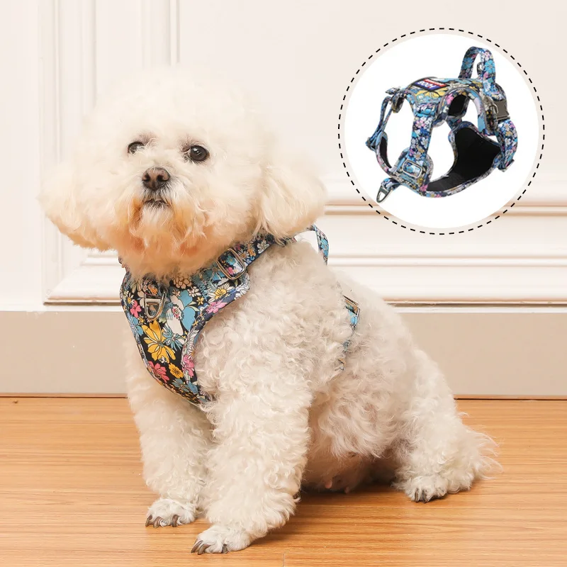 Printing Dog Harness Small Dog Harness and Leash Set Adjustable Reflective Pet Dog Vest Soft Harness for Puppy Small Medium Dogs
Printing Dog Harness Small Dog Harness and Leash Set Adjustable Reflective Pet Dog Vest Soft Harness for Puppy Small Medium Dogs
