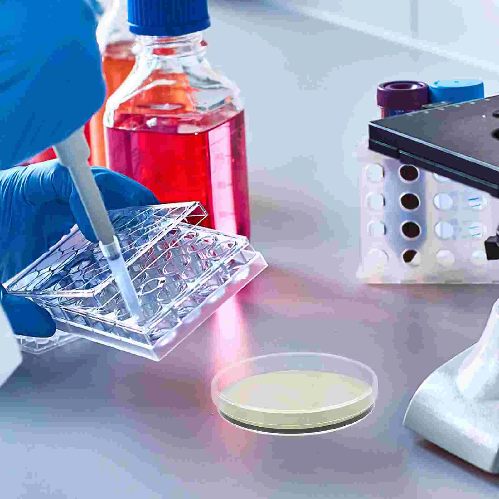 10 Pcs Experimental Supplies Agar Test Kit Round Petri Dish Plastic Portable Plate
10 Pcs Experimental Supplies Agar Test Kit Round Petri Dish Plastic Portable Plate