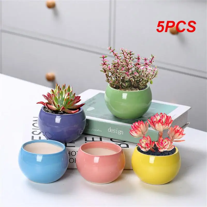 5PCS Simple Atmosphere Ceramic Fleshy Plant Small Flower Pot Breathable Hole Potted Plant Household Desk Creative Potted Plant
5PCS Simple Atmosphere Ceramic Fleshy Plant Small Flower Pot Breathable Hole Potted Plant Household Desk Creative Potted Plant