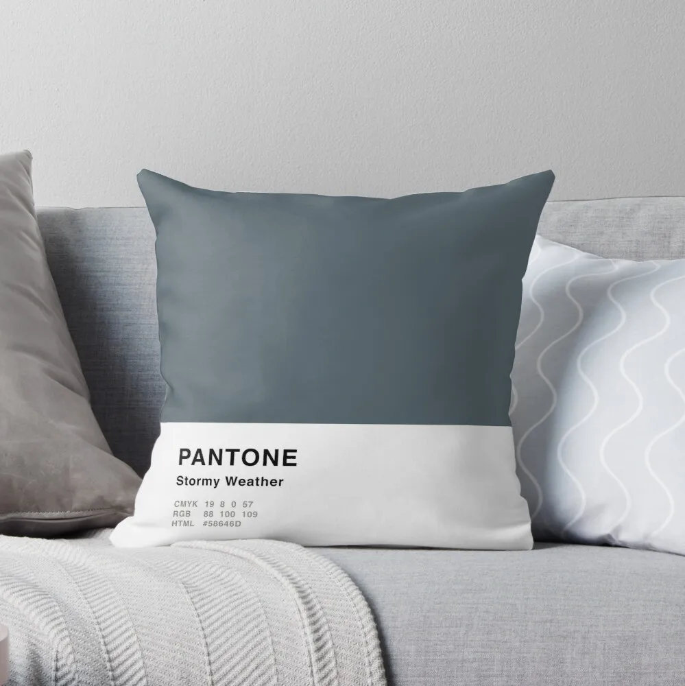 

Stormy Weather Grey Pantone Simple Design Throw Pillow cushion covers for living room sofa pillow cover
