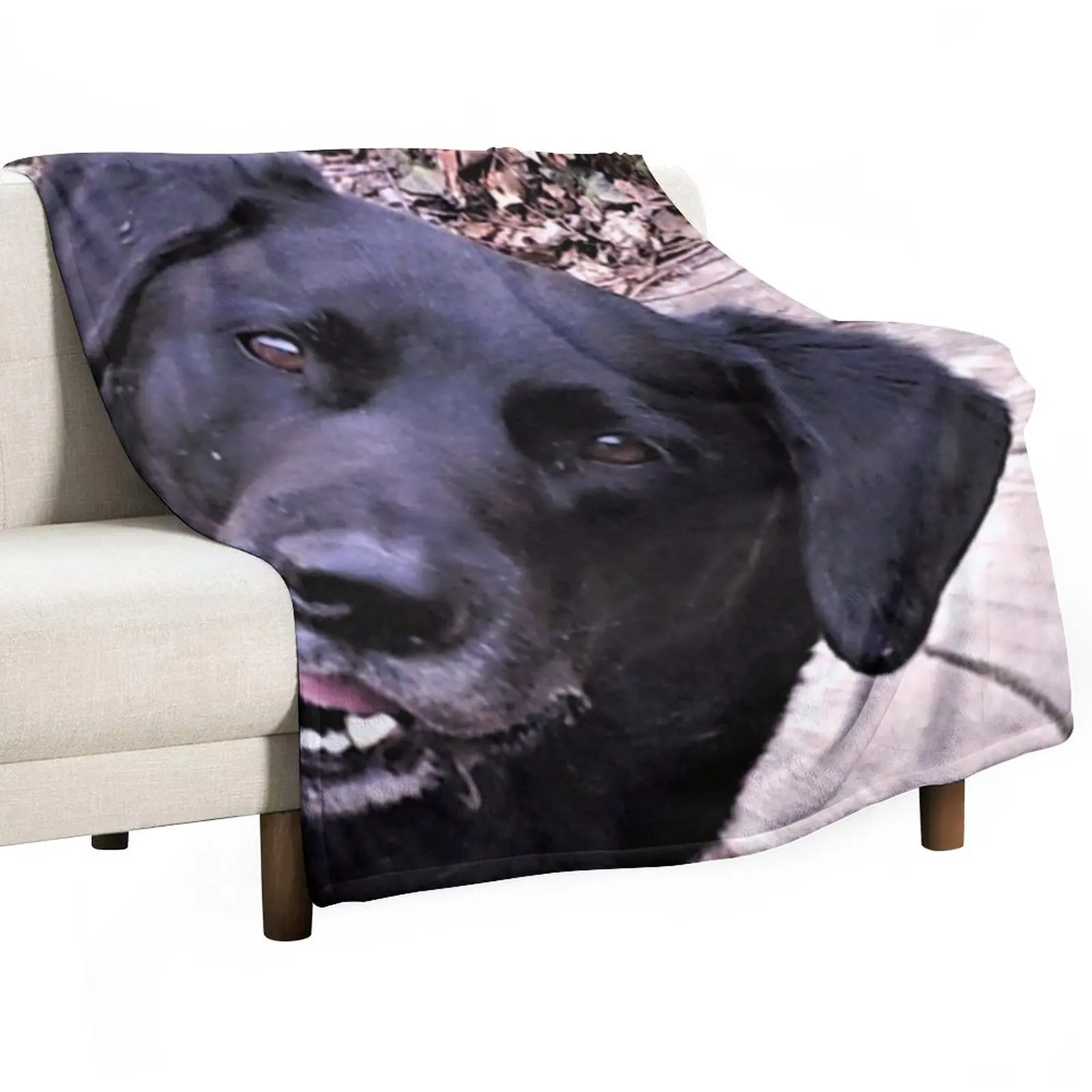 New Good Morning! Throw Blanket Decorative Throw Blanket Hairy Blankets Luxury Throw Blanket
New Good Morning! Throw Blanket Decorative Throw Blanket Hairy Blankets Luxury Throw Blanket