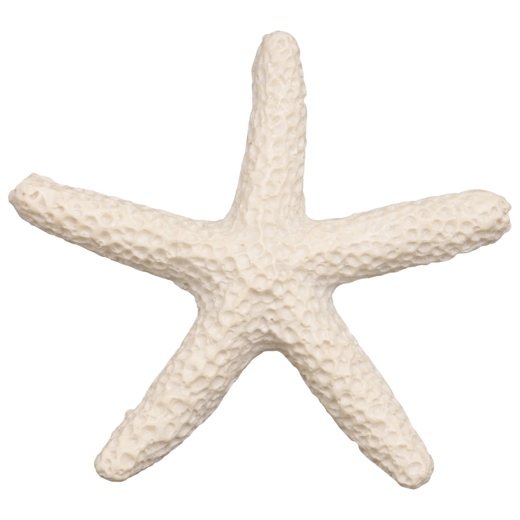 

15 Pieces creamy-white Pencil Finger Starfish For Wedding Decor, Home Decor And Craft Project
