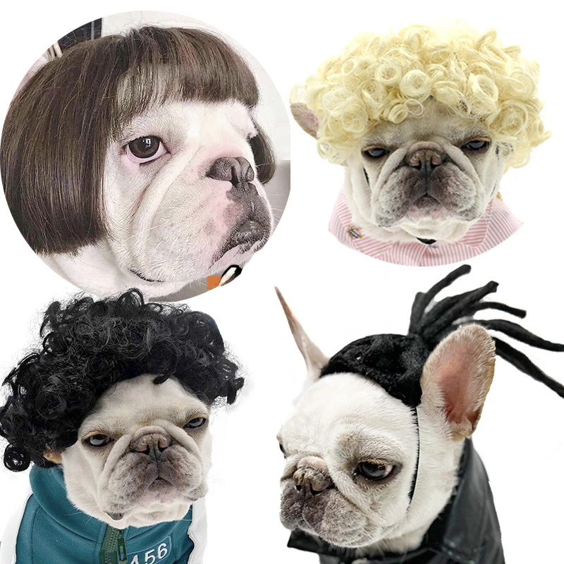 Pet Wig Dog Wig Pet Supplies Halloween Pet Jewelry Curly Hair Straight Hair Cat Wig Dog Birthday Decorations.
Pet Wig Dog Wig Pet Supplies Halloween Pet Jewelry Curly Hair Straight Hair Cat Wig Dog Birthday Decorations.