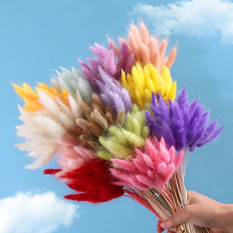 60PCS Dry Bunny Rabbit Tail Grass Natural Pampas Artificial Lagurus Ovatus Home Boho Decor Wedding Floral Arrangement Decoration
60PCS Dry Bunny Rabbit Tail Grass Natural Pampas Artificial Lagurus Ovatus Home Boho Decor Wedding Floral Arrangement Decoration