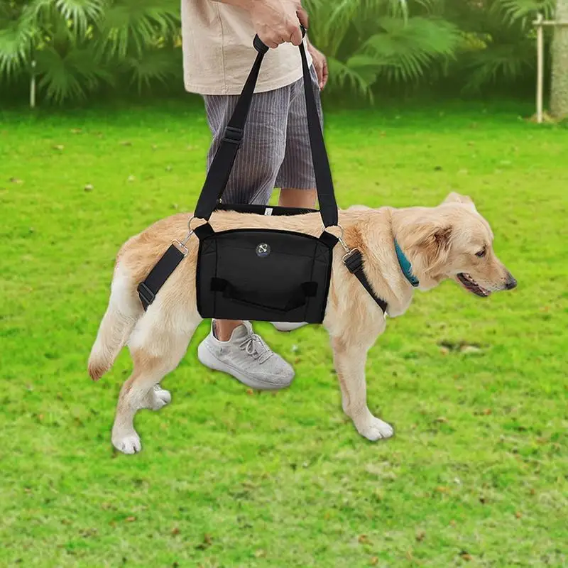 Dog Lift Harness Adjustable Sling Breathable Back Legs Hip Support Harness Heavy Duty Dog Harnesses Vest For Disabled Old Dog
Dog Lift Harness Adjustable Sling Breathable Back Legs Hip Support Harness Heavy Duty Dog Harnesses Vest For Disabled Old Dog