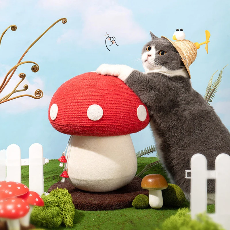 Cat scratching board wear-resistant cat scratching column sisal vertical small cat climbing frame red umbrella mushroom
Cat scratching board wear-resistant cat scratching column sisal vertical small cat climbing frame red umbrella mushroom