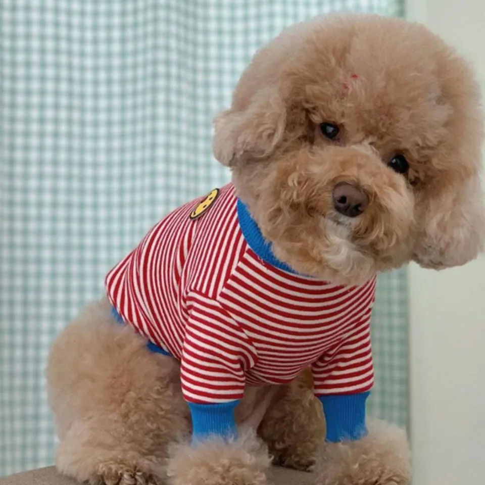 Dog Plaid T-shirt - Cute Smiley Face Dog Plaid T-shirt - Cute Smiley Face