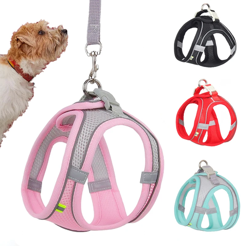 CoolPet Bite Resistant Dog Collar Leash Wholesale No Pull Luxury Adjustable Mesh Custom Logo Dog Harness With Collar
CoolPet Bite Resistant Dog Collar Leash Wholesale No Pull Luxury Adjustable Mesh Custom Logo Dog Harness With Collar