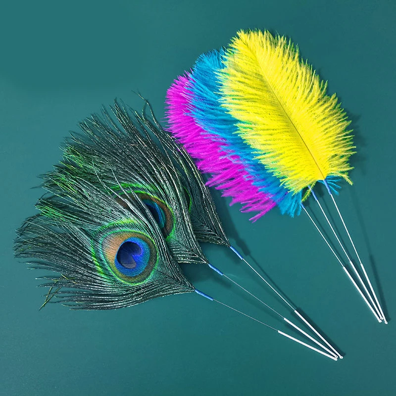 Earpick Ostrich Feather Wax Remover Curette Adult Spoon Cleaner Stick Bamboo Handle Ear Dig Tools Pick Massage Set Earwax Kits
Earpick Ostrich Feather Wax Remover Curette Adult Spoon Cleaner Stick Bamboo Handle Ear Dig Tools Pick Massage Set Earwax Kits