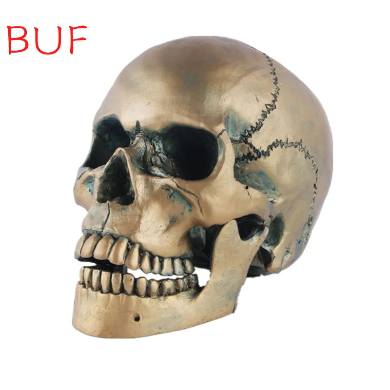 Bronze Human Head Skull Model Resin Skull Decoration Statue Home Room Decoration Skull Sculpture Halloween Decoration Figurine 
Bronze Human Head Skull Model Resin Skull Decoration Statue Home Room Decoration Skull Sculpture Halloween Decoration Figurine