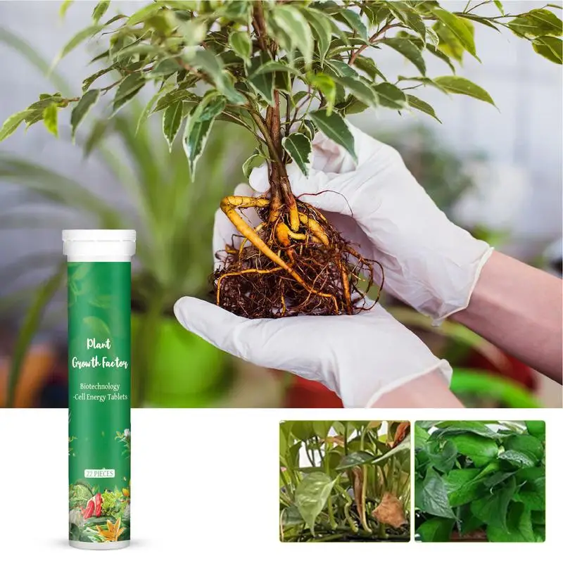 

22pcs Plant Food All Purpose Fertilizer Slow-Release Universal Plant Tablets Plants rooting agents flower growth enhancer