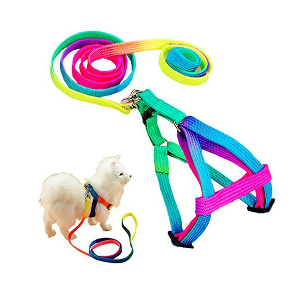 Colorful Pet Leash Adjustable Rainbow Small Rabbit Cat Collar Leash Band Dog Pets Lead Harness Strap Belt Pet Supplies
Colorful Pet Leash Adjustable Rainbow Small Rabbit Cat Collar Leash Band Dog Pets Lead Harness Strap Belt Pet Supplies