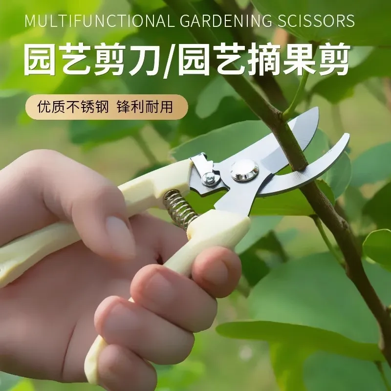 Professional Pruning Scissors Garden Potted Fruit Pruning Tree Pruning Garden Scissors Fruit Picking Utility Tool
Professional Pruning Scissors Garden Potted Fruit Pruning Tree Pruning Garden Scissors Fruit Picking Utility Tool
