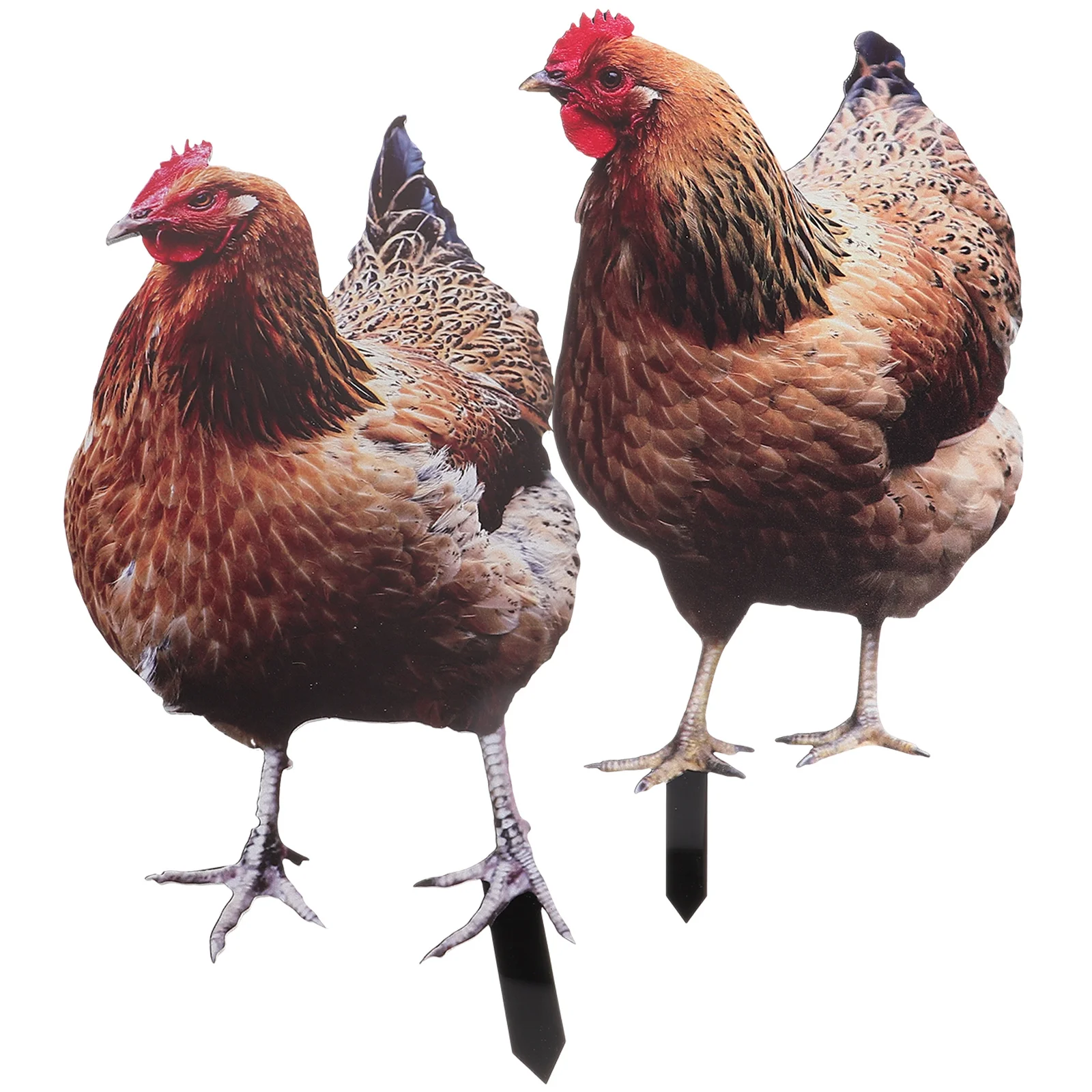 2 Pcs Decorations Chicken Garden Statues Hen Yard Stake Acrylic Yards Art Decorative
2 Pcs Decorations Chicken Garden Statues Hen Yard Stake Acrylic Yards Art Decorative