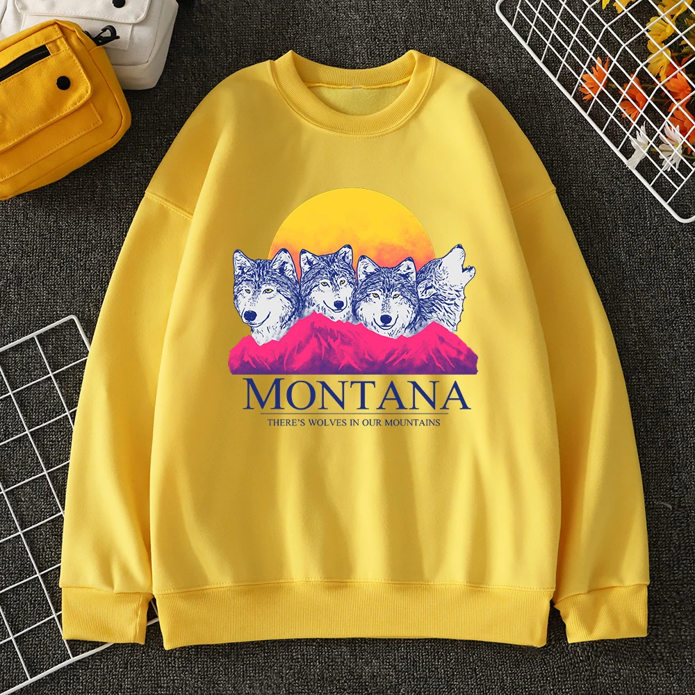 Мужской Повседневный пуловер с капюшоном и принтом «американский город Монтана»
Мужской Повседневный пуловер с капюшоном и принтом «американский город Монтана»