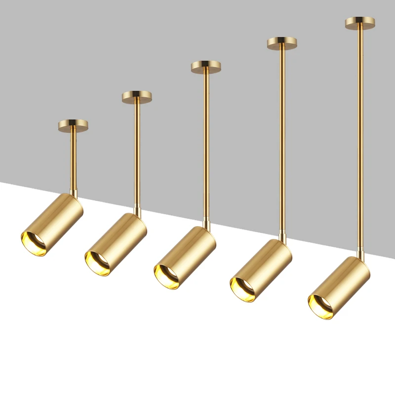 Surface Mounted LED downlight Long rod Ceiling Lamps led spot lights golden Ceiling Fixtures Lighting Indoor Light
Surface Mounted LED downlight Long rod Ceiling Lamps led spot lights golden Ceiling Fixtures Lighting Indoor Light