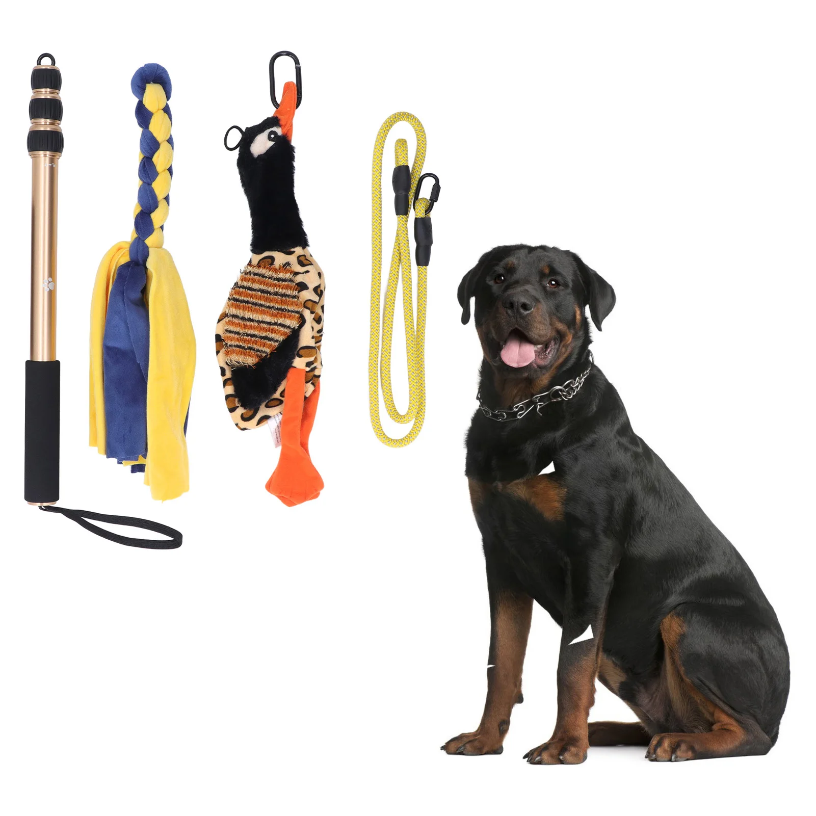 52 Inch Telescopic Dog Teaser Stick Flirt Pole For Dog Interactive Flirt Pole Toy Dog Extendable Teaser Wand For Exercising
52 Inch Telescopic Dog Teaser Stick Flirt Pole For Dog Interactive Flirt Pole Toy Dog Extendable Teaser Wand For Exercising