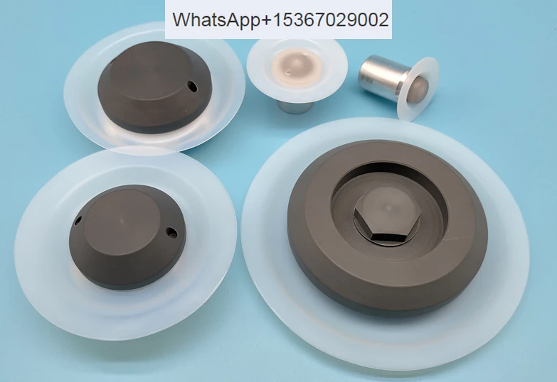 

Diaphragm component metering pump diaphragm assembly GM accessory oil seal PVC check valve GB component PTFE