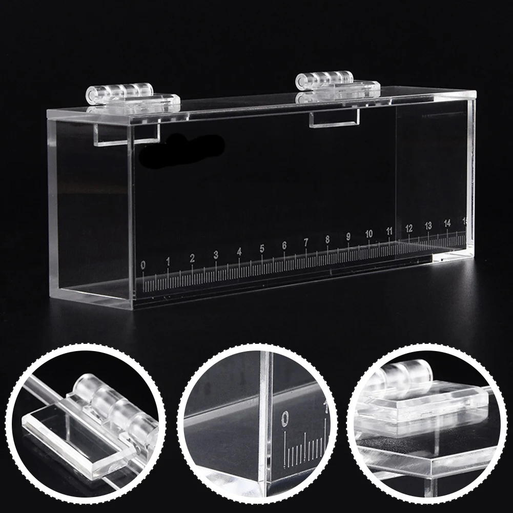 Fish-Viewing Box Acrylic Material Isolation Box Betta Fish Aquarium-Breeder Fish Tank Hatching Incubator Fish House Home Clear
Fish-Viewing Box Acrylic Material Isolation Box Betta Fish Aquarium-Breeder Fish Tank Hatching Incubator Fish House Home Clear