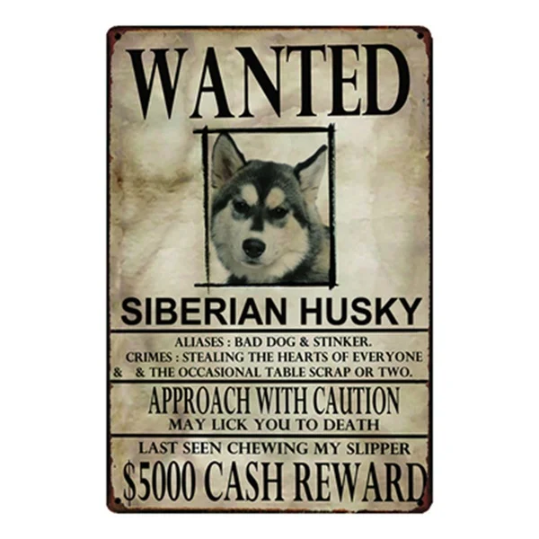 Siberian Husky Dogs Wanied Metal Sign Tin Poster Home Decor Bar Wall Art Painting 20*30 CM Size
Siberian Husky Dogs Wanied Metal Sign Tin Poster Home Decor Bar Wall Art Painting 20*30 CM Size