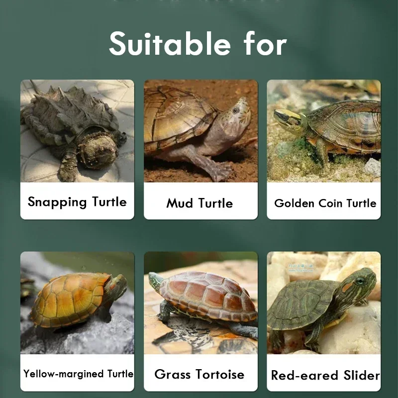 

Detachable Reptile House To Change With Water Habitat Areas Breed Tank Container Turtle Plastic Swim Feed Bask Fish Easy