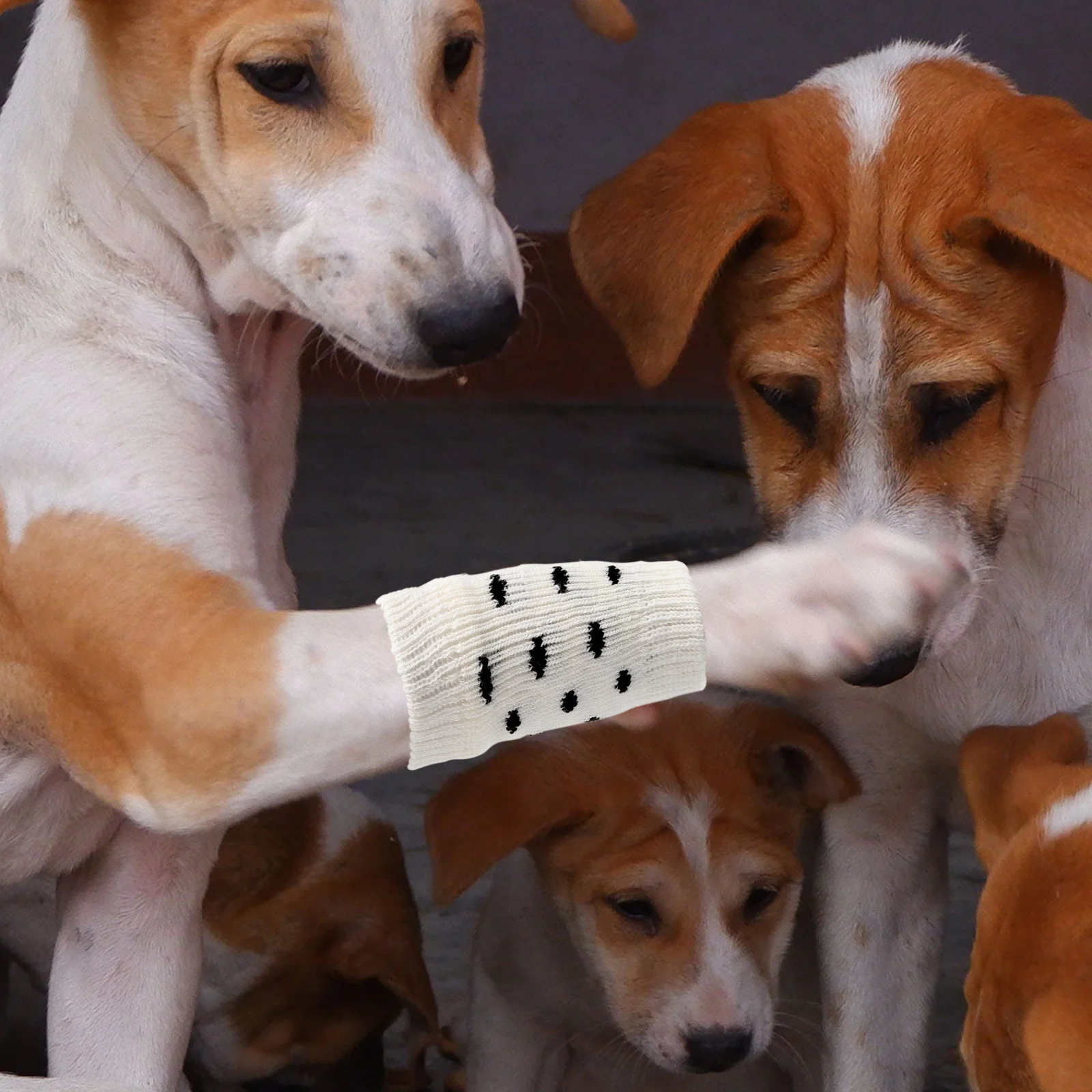 4pcs Warm Dog Hock Covers Warm Dog Hock Covers Pet Leg Warmer Pet Socks Dog Elbow Protector (M)
4pcs Warm Dog Hock Covers Warm Dog Hock Covers Pet Leg Warmer Pet Socks Dog Elbow Protector (M)