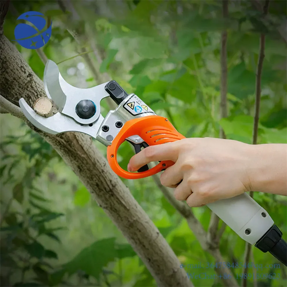 Электрические перезаряжаемые ножницы Yunyi450W, садовые ножницы для обрезки деревьев, инструмент для обрезки ветвей, литиевая батарея
Электрические перезаряжаемые ножницы Yunyi450W, садовые ножницы для обрезки деревьев, инструмент для обрезки ветвей, литиевая батарея